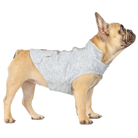 A light brown French Bulldog wears a light gray Free Country Dog Waterproof Raincoat and stands on all fours, looking upward against a white background.
