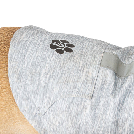 Close-up of a light brown dog wearing the Free Country Dog Waterproof Raincoat in light gray, featuring a paw print logo on the back. Only part of the dog's body and jacket are visible.