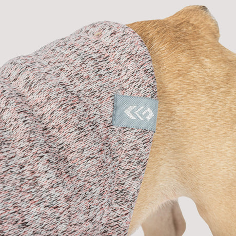 French Bulldog wearing the Free Country Dog Mountain Fleece Jacket in light pink textured fleece, designed to keep dogs warm while providing a comfortable fit, shown against a plain background.