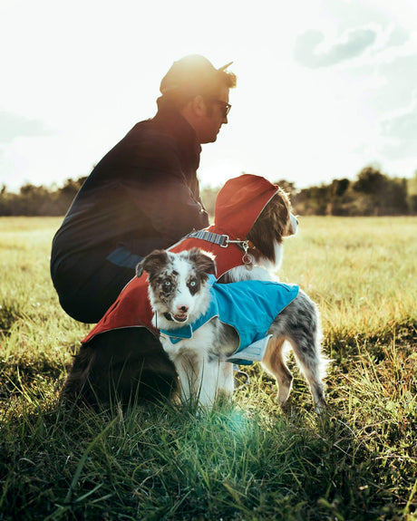 Free Country Dog Raincoat -  - #color_poppy-red