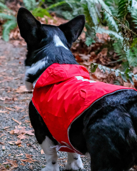 Free Country Dog Raincoat -  - #color_poppy-red