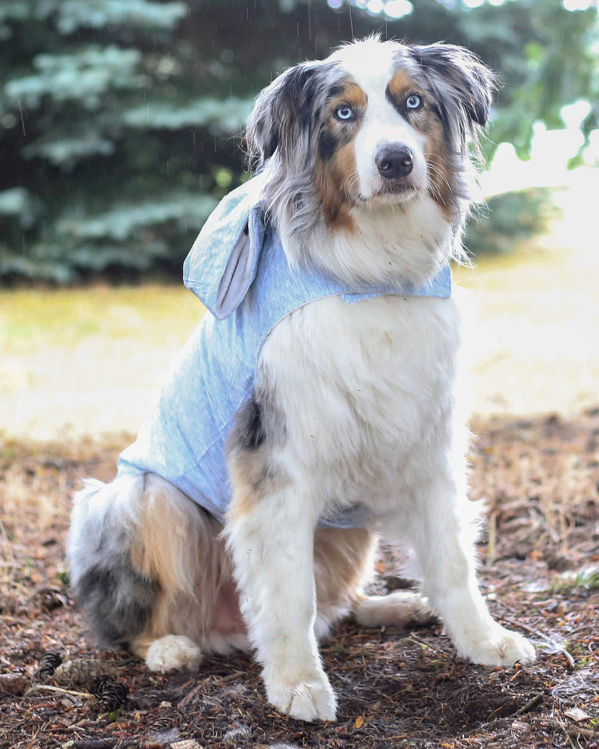 Free Country Dog Raincoat -  - #color_silver-chip
